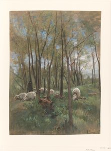 Schapenkudde in een bos door Anton Mauve