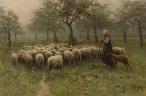 Herderin met een kudde schapen