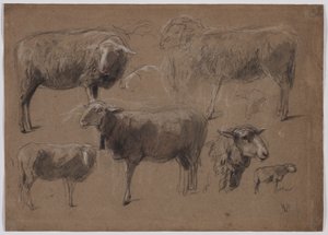 Studies van schapen door Anton Mauve