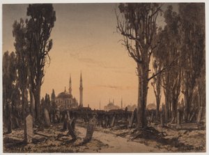 Turks kerkhof. Scutari