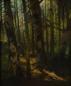 Bosontginning door Anton Müller Wischin