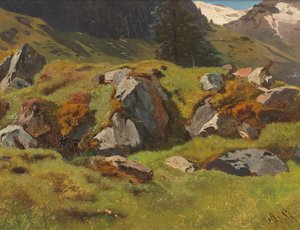 Studie van rotsen bij Ferleiten