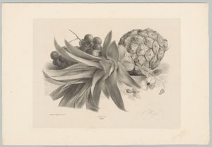 Ananas en druiven door Anton Weiss