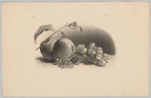 Appels, bessen, braam en druiven