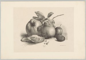 Fruit, pruimen en oesters door Anton Weiss