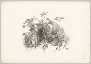Rozen, dahlia