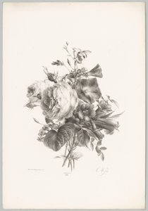 Rozen en kelkvormige bloemen