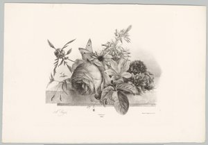 Rozen, lelies, klokvormige bloemen en vlinder