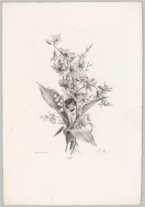 Viooltje en hyacint- en klokvormige bloemen door Anton Weiss