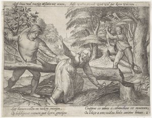 Ontginning van het bos