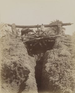Sehaquieh, Egypte door Antonio Beato