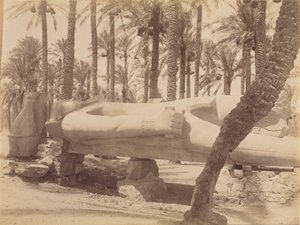 Standbeeld van Ramses in Saqqara