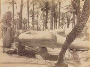 Standbeeld van Ramses in Saqqara