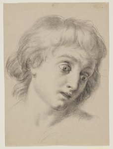 Hoofd van een jongen door Antonio Cavallucci