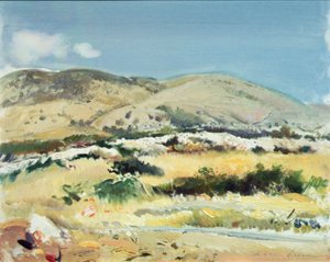 Gargano, 1981