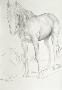Paard bij Coolmore, 1990