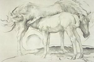 Paarden bij Coolmore, 1990 door Antonio Ciccone