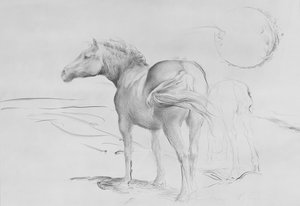 Paarden bij Coolmore, 1990