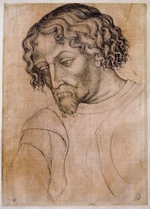 Buste van bebaarde man, driekwart hoofd naar links. Tekening uit het atelier van Antonio di Puccio Pisano, genaamd Pisanello