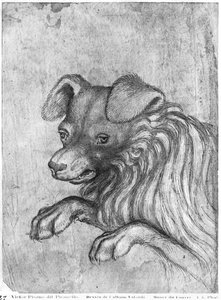 Hoofd van een hond, uit het Vallardi Album door Antonio Pisanello