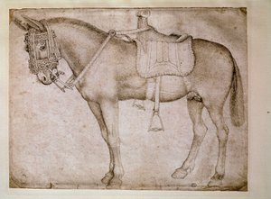 Muilezel tuig. Tekening door Antonio Pisano, genaamd il Pisanello door Antonio Pisanello