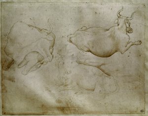 Twee koeien en een jeneverbes. Tekening door Antonio di Puccio Pisano, genaamd Pisanello door Antonio Pisanello