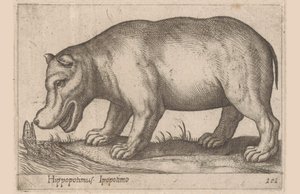 Nijlpaard door Antonio Tempesta