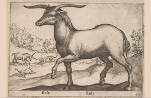 Paard met hoorns (Dieren en fabelwezens) door Antonio Tempesta