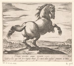 Steigerend paard naar rechts gewend door Antonio Tempesta