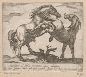 Twee parende paarden
