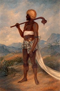Fijische man, ca. 1893