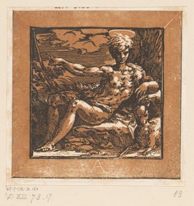 Johannes de Doper in de wildernis