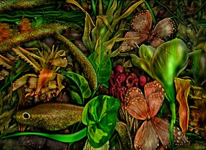  door Antonius Antonius