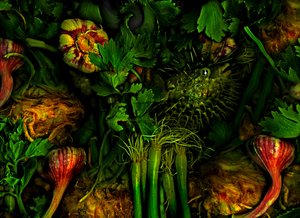  door Antonius Antonius