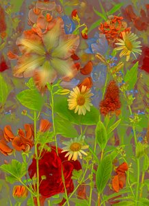  door Antonius Antonius