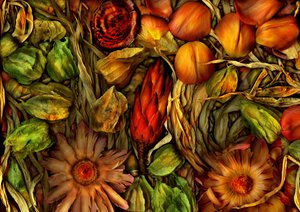  door Antonius Antonius