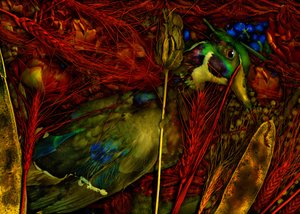  door Antonius Antonius