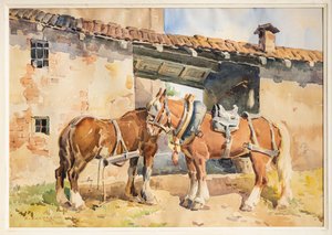 Paarden