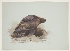 Steenarend, ca. 1915 door Archibald Thorburn