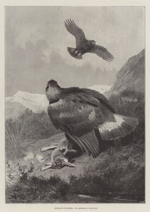 Highland Stropers door Archibald Thorburn