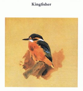 IJsvogel, uitgegeven door Book Club Associates, 1972 door Archibald Thorburn