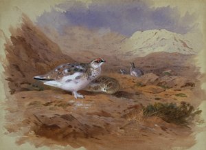 Sneeuwhoen in een Hooglandlandschap door Archibald Thorburn