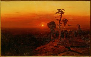 Zonsondergang boven een dennenbos