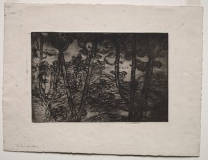 Bomen 