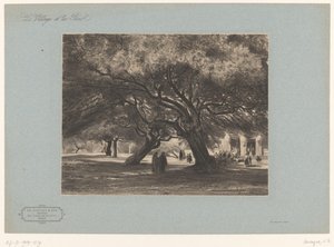 Eikenbomen bij de kerk van Cimiez door Armand Theophile Cassagne