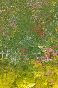 Bloemenweide