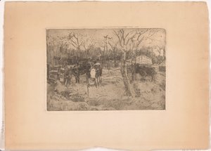 Weiland met bomen en koeien