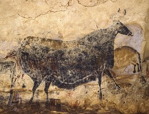Zwarte Koe. Grotschildering van Lascaux, ca. 16.000-15.000 v.Chr. door Art of the Upper Paleolithic.