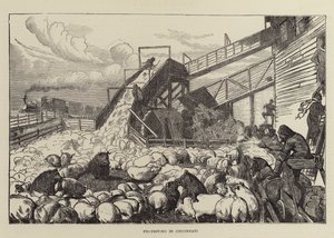 Varkensdrijven in Cincinnati