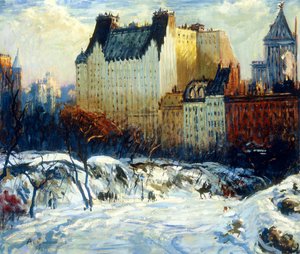 Een Uitzicht op het Plaza vanuit Central Park